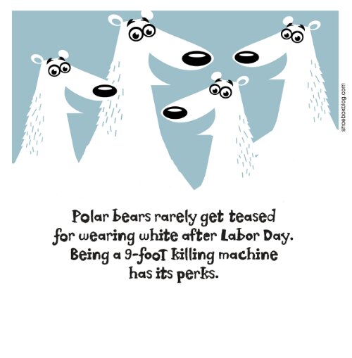 id56318_polarbears.blog_.jpg image