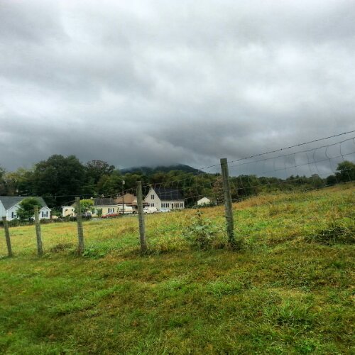 IMG_20131013_131504.jpg image